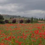 Farma Casalpiano Pienza