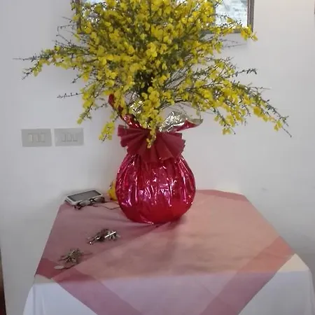Casalpiano مزرعة للإقامة
